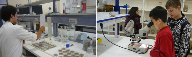 microbiology lab