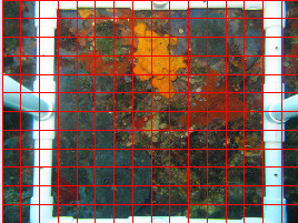 grid