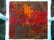 grid