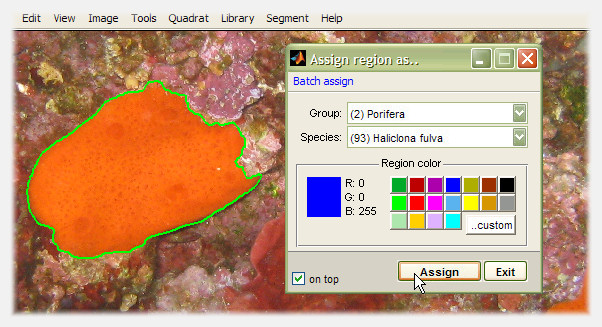 assignroi